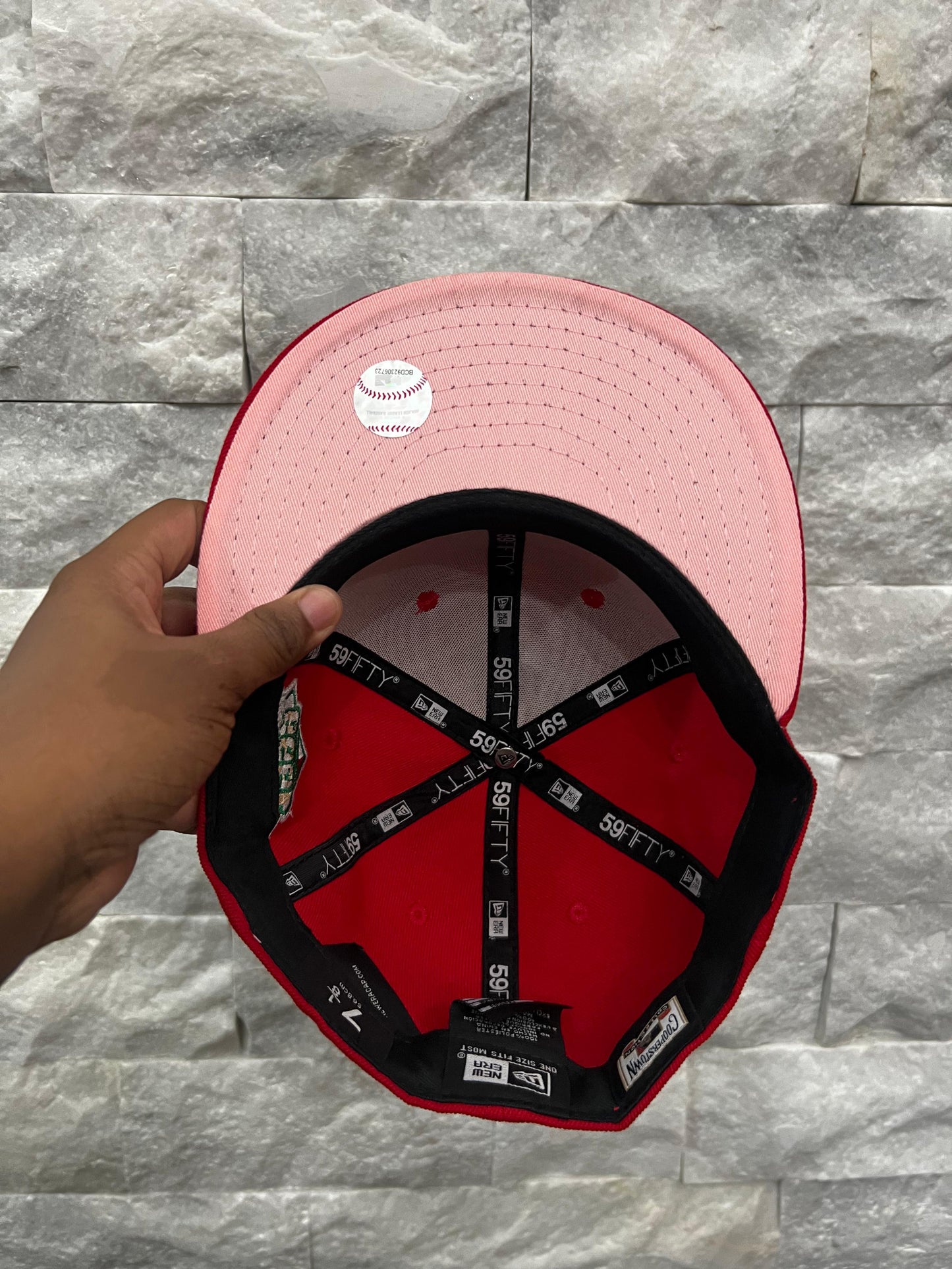 Fitted #19